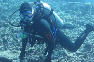 Carly Kenkel - diving on GBR