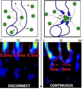 Tracking DNA damage