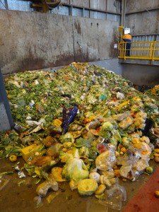 Food waste that could be turned into fuel using "magic" crystals