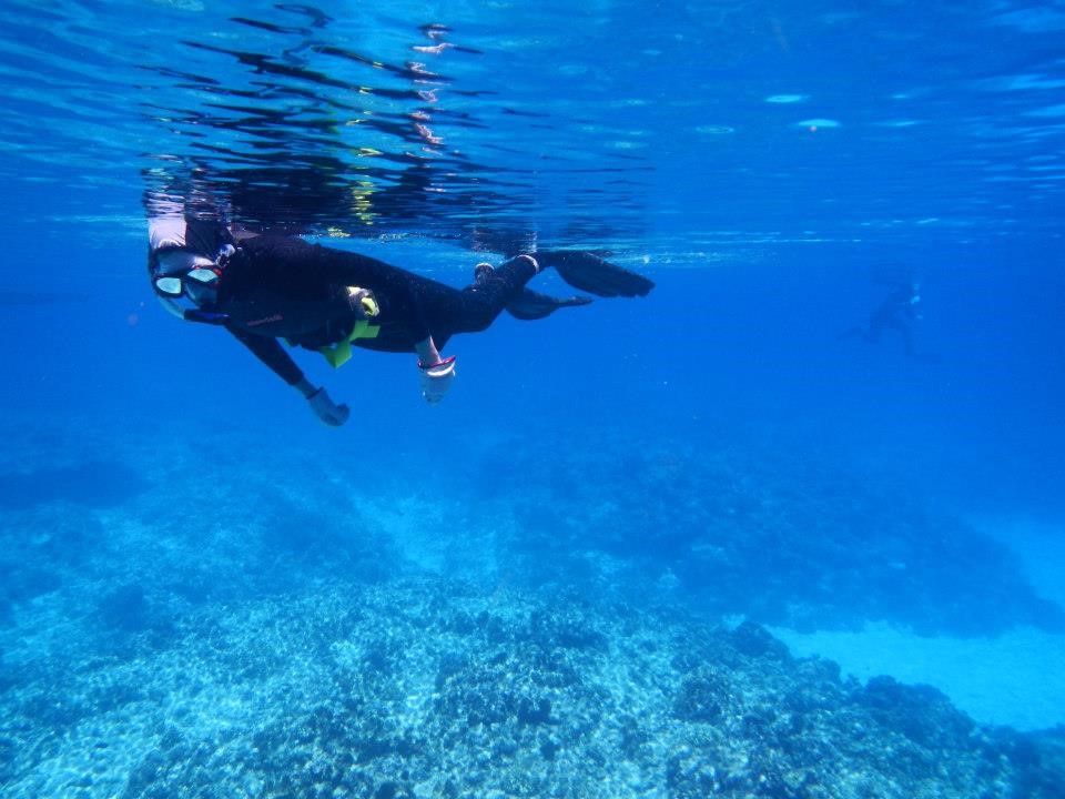 Jenna Crowe-Riddell conducting fieldwork at Hibernia Reef off the coast of Western Australia. (Credit: University of Adelaide)