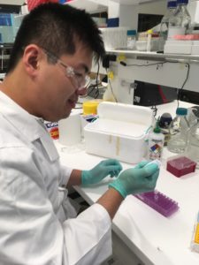 Yik Lung Chan in the lab.