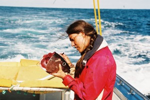 Sophie Bestley removing the otoliths (ear bones) to age the fish, photo credit Thor Carter, CSIRO