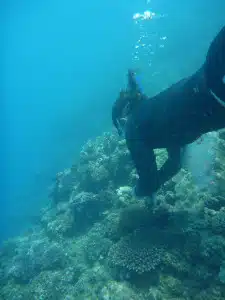 Zoe Richards collecting samples on snorkel in the Kimberley